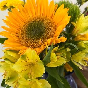 Meet your Posher, Beth